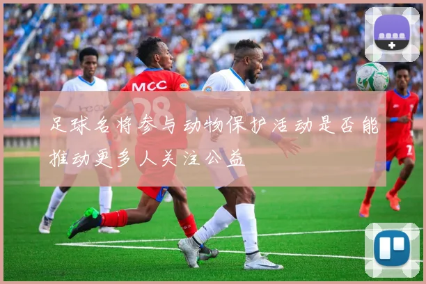 足球名将参与动物保护活动是否能推动更多人关注公益