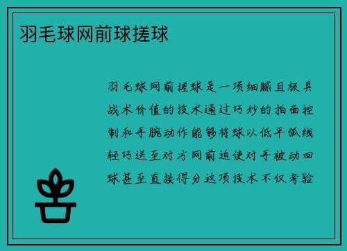 羽毛球网前球搓球